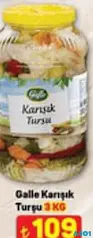 GALLE KARIŞIK TURŞU 3 KG GALLE KARIŞIK TURŞU 3 KG
